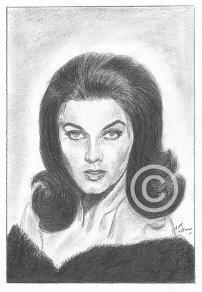 Ann Margret Pencil Portrait