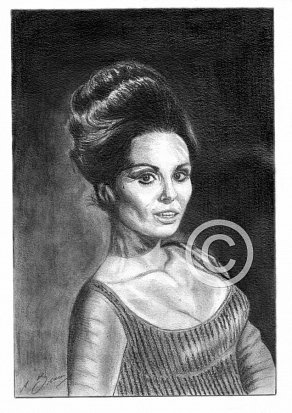 Daliah Lavi Pencil Portrait