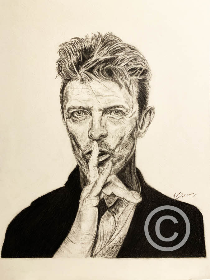David Bowie 5th anniversary commemorative portrait Pencil Portrait