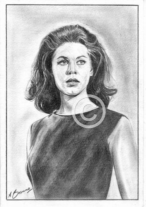 Elizabeth Montgomery Pencil Portrait