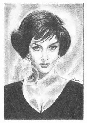 Gina Lollobrigida Pencil Portrait