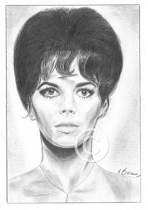Natalie Wood Pencil Portrait