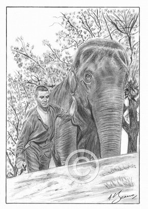 Oliver Reed and Aida the elephant Pencil Portrait