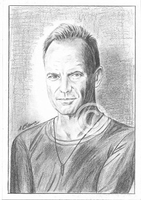 Sting Pencil Portrait