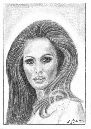 Ursula Andress Pencil Portrait