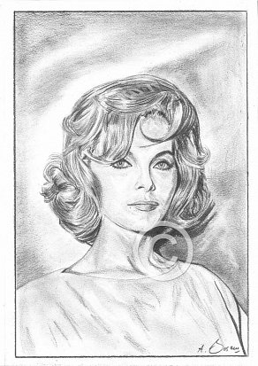 Virna Lisi Pencil Portrait
